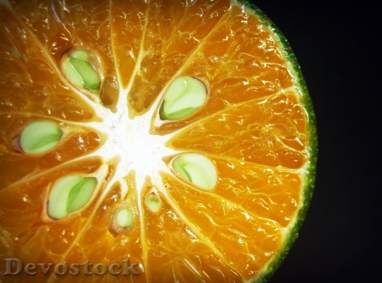 Devostock Orange Fruit Slice White 5