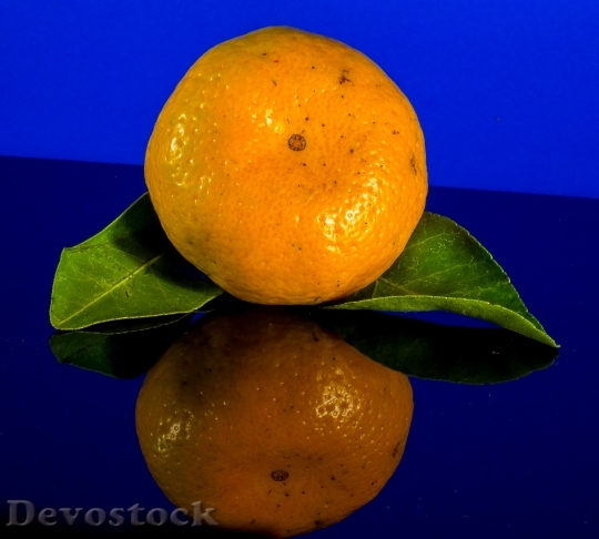 Devostock Orange Mandarin Fruit Citrus 6