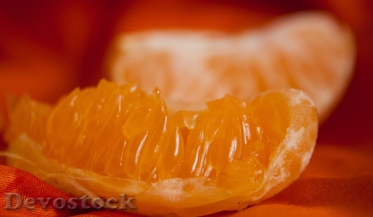 Devostock Orange Slice Citrus Fruit