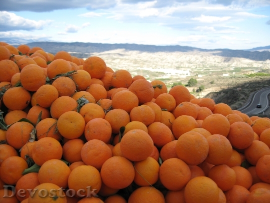 Devostock Orange Spain Sunny Oranges 1