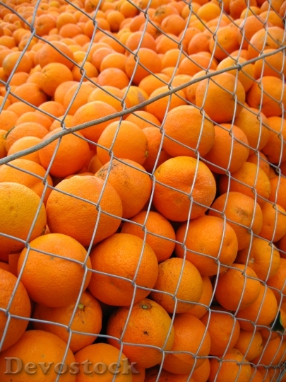 Devostock Orange Spain Sunny Oranges