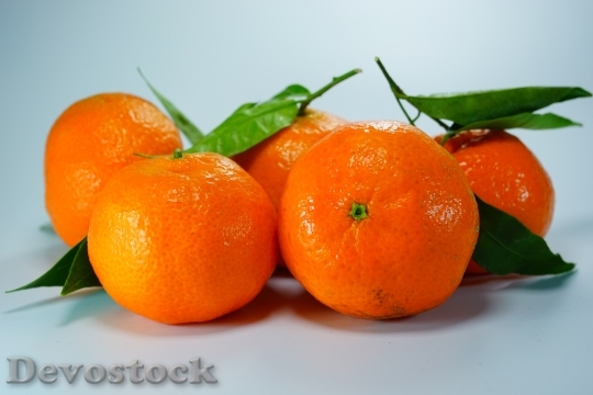 Devostock Oranges Tangerines Clementines 602075