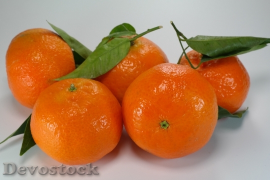 Devostock Oranges Tangerines Clementines 795610