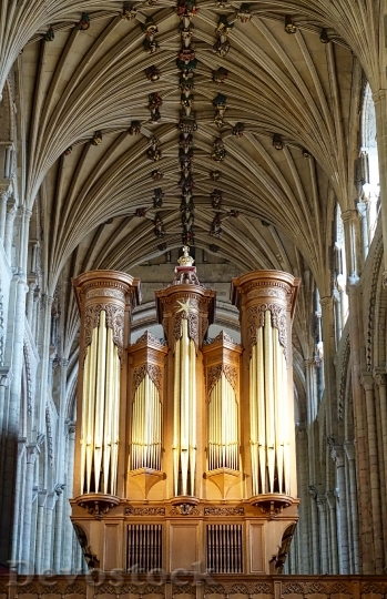Devostock Organ Norwich Cathedral Historic 0