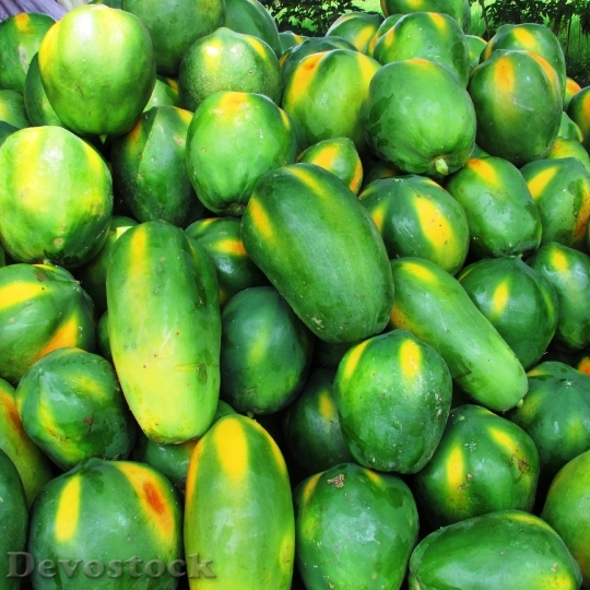 Devostock Papaya Fruit Green Tropical 0