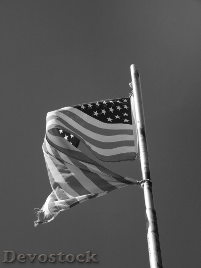 Devostock Patriotic Flag America Old