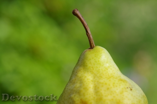 Devostock Pear Fruit Fruits Yellow
