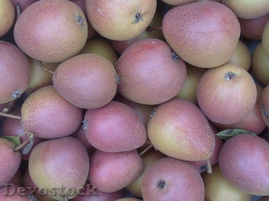 Devostock Pear Pile Fruit Stack