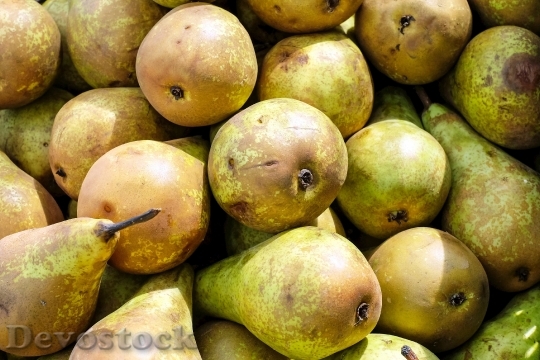Devostock Pears Fruit Ripe Harvest