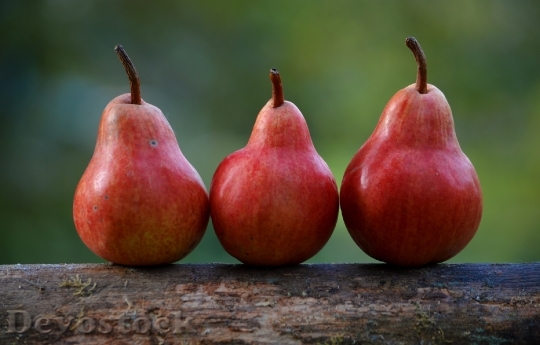 Devostock Pears Red Branch Pyrus