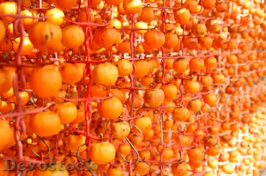 Devostock Persimmon Orange Fruit 750066
