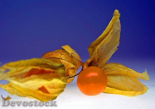 Devostock Physalis Fruit Delicious Tasty
