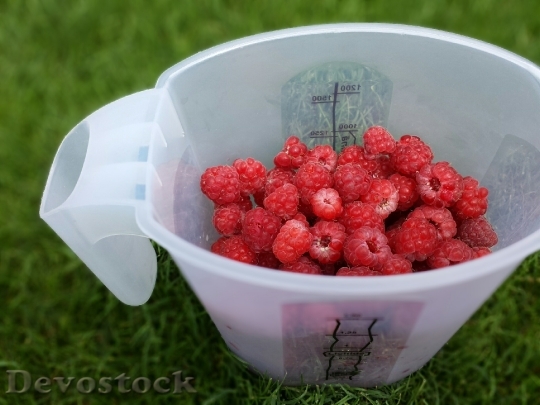 Devostock Picnic Fruits Raspberries 1282948