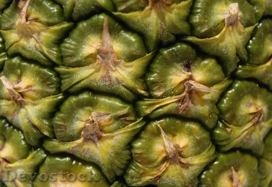 Devostock Pineapple Fruit Close Up