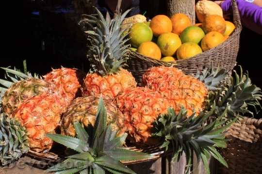 Devostock Pineapple Fruit Cuba 264800