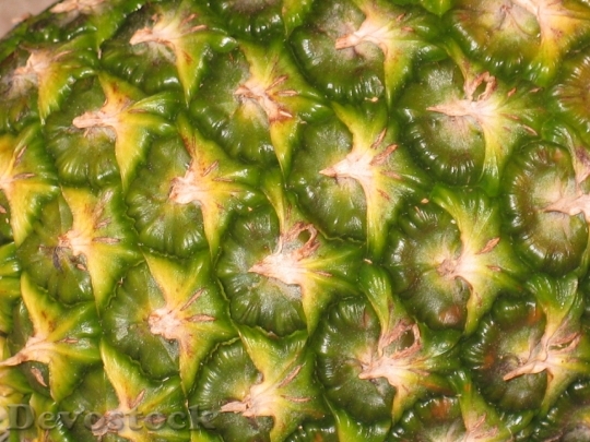 Devostock Pineapple Fruit Exotic Still