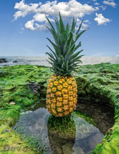Devostock Pineapple Fruit Food Healthy 0