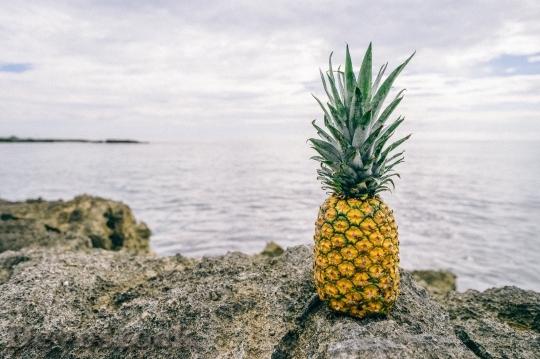 Devostock Pineapple Fruit Food Healthy