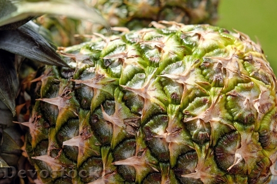 Devostock Pineapple Fruit Texture Pattern