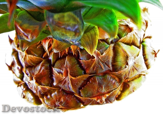 Devostock Pineapple Fruit Tropical Fruits
