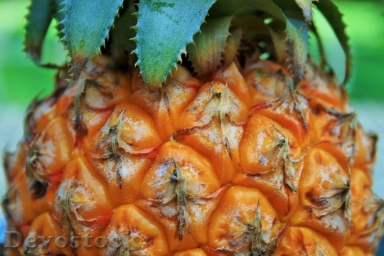 Devostock Pineapple Fruit Tropical Healthy