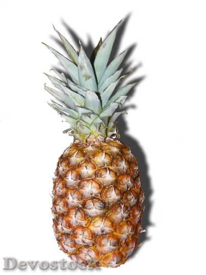 Devostock Pineapple Fruits Tropical Free