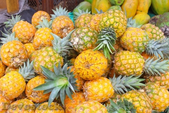 Devostock Pineapple Gallery Fruit Yellow 0