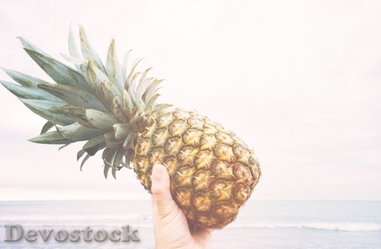 Devostock Pineapple Holding Fruit Fresh
