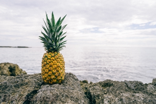 Devostock Pineapple Ocean View Freshness