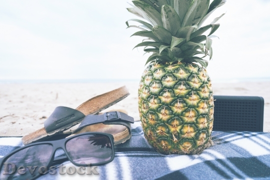 Devostock Pineapple Picnic Beach Glasses