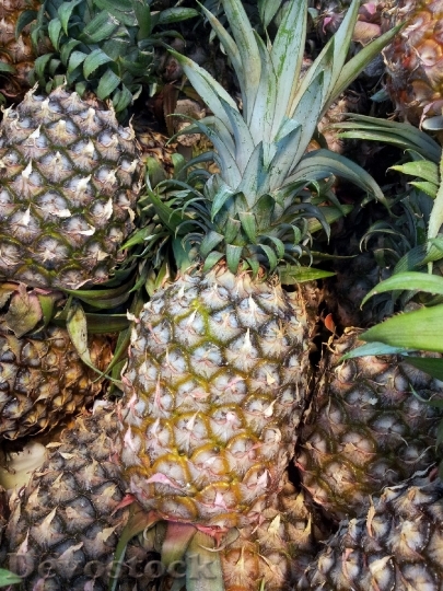 Devostock Pineapple Pineapple Basket Fruit