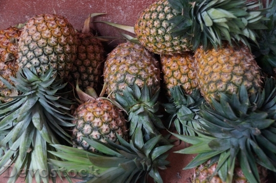 Devostock Pineapple Ripe Fruit Juicy