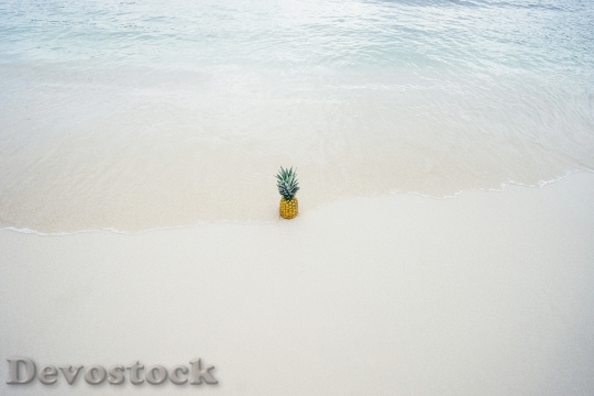 Devostock Pineapple Ripe Water Beach