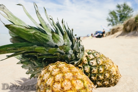 Devostock Pineapple Sand Beach Summertime
