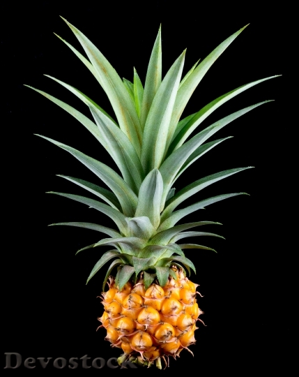 Devostock Pineapple Small Pineapple Fruit 1