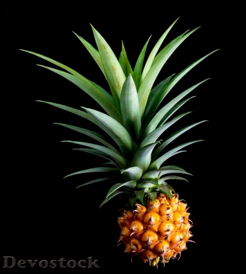 Devostock Pineapple Small Pineapple Fruit