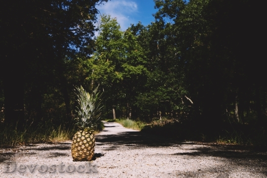 Devostock Pineapple Summertime Summer 1602349
