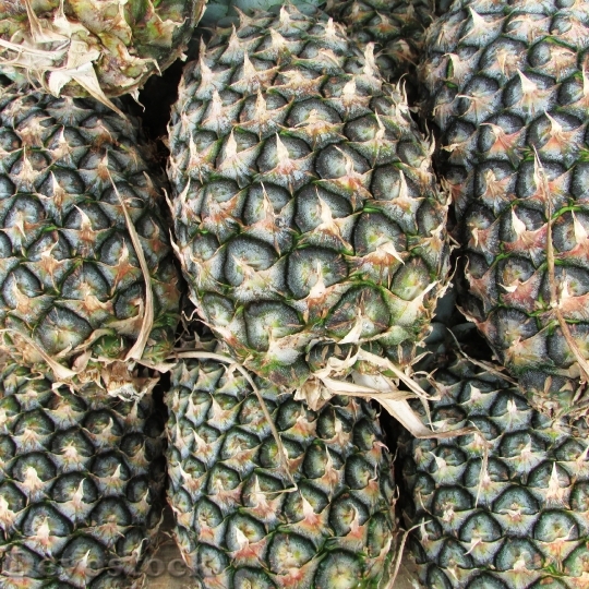 Devostock Pineapples Ananas Comosus Tropical