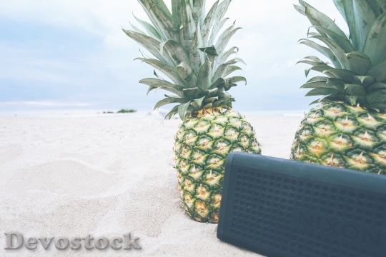 Devostock Pineapples Beach Picnic Music