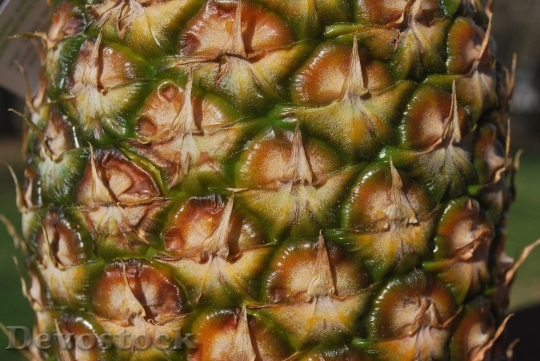 Devostock Pineapples Skin Fruits Tropical