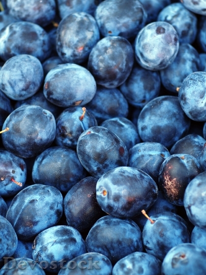 Devostock Plum Fruit Texture Blue