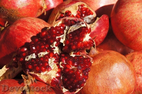 Devostock Pomegranate Fruit Red 382312