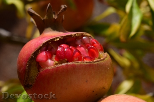 Devostock Pomegranate Sweet Delicious Fruit