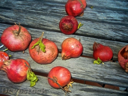 Devostock Pomegranate Wood Fruit Healthy