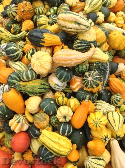 Devostock Pumpkin Versatile Fruit Gourd