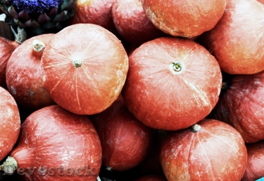 Devostock Pumpkins About Vegetables Fruits