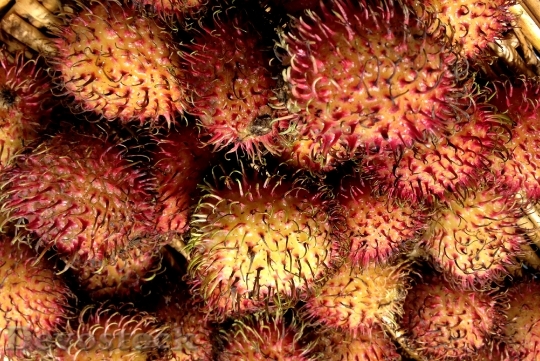 Devostock Rambutan Hairy Litchi Fruit