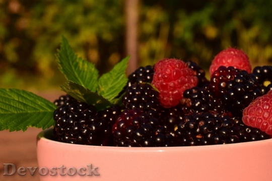 Devostock Raspberries Blackberries Fruits 1550461