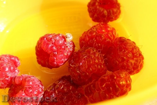 Devostock Raspberries Snail Fruits Berries