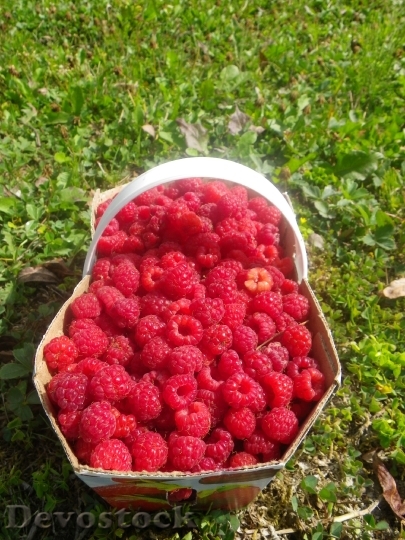 Devostock Raspberry Basket Summer Fruit
